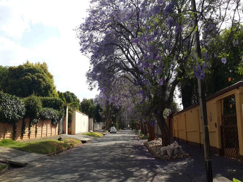 Monica'S Cottage جوهانسبورغ المظهر الخارجي الصورة